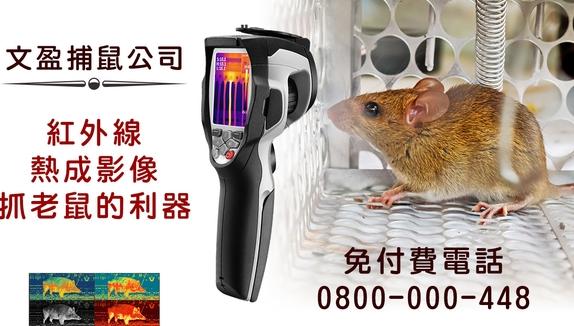 抓老鼠的利器